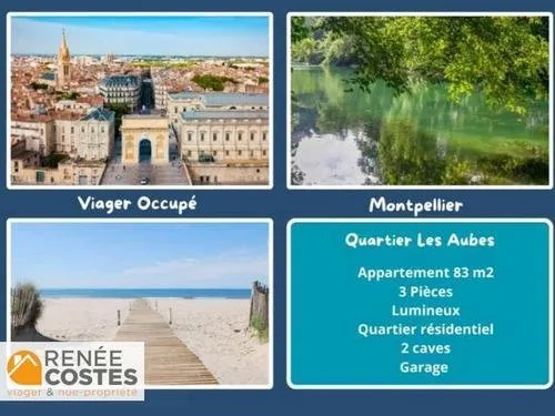 Viager occupé - F81 ans - MONTPELLIER (34000)