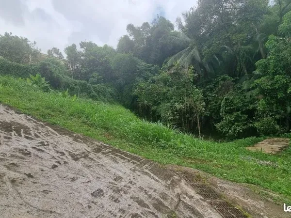 Terrain 1 062 m² Fort De France