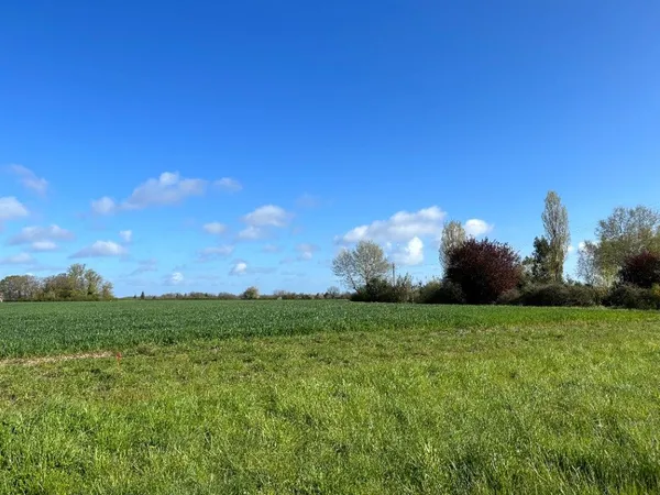 Terrain 730 m²