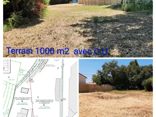 Terrain constructible