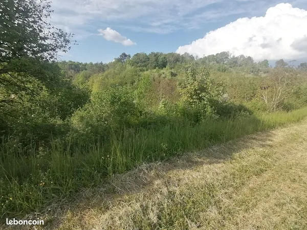 Terrain pour jardin entrée de ville