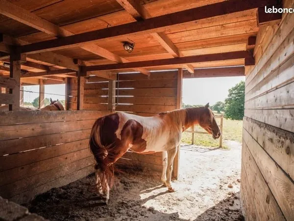 Haras 8 pièces 352 m²