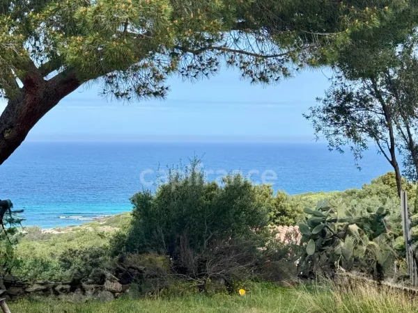 Terrain 1256 m²