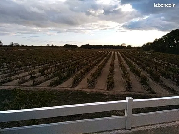 Appartement aigues mortes