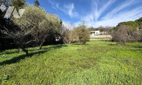 Terrain 2000 m²