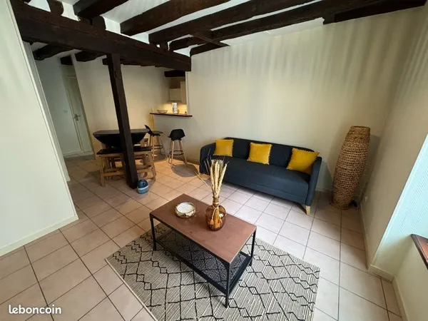 Loue appartement T2 39m2 centre ville
