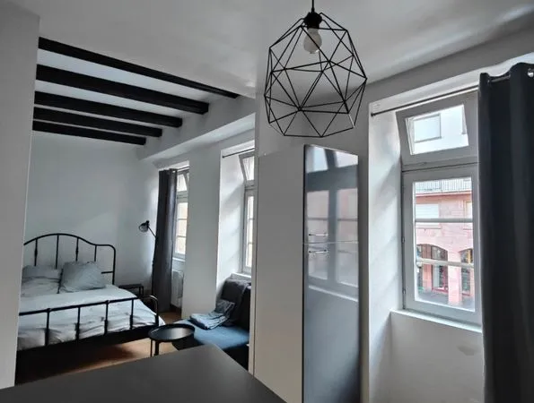 Studio meublé 28 m² - Hyper centre Strasbourg