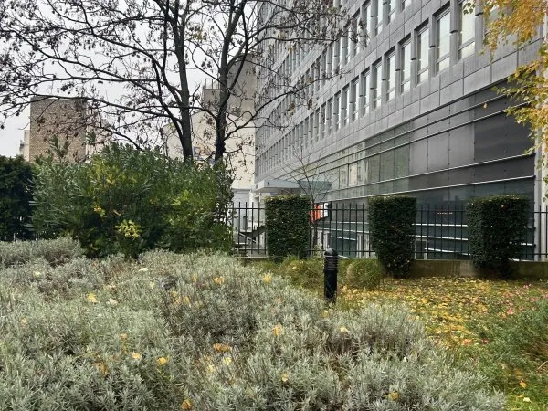 Local professionnel 208 m²