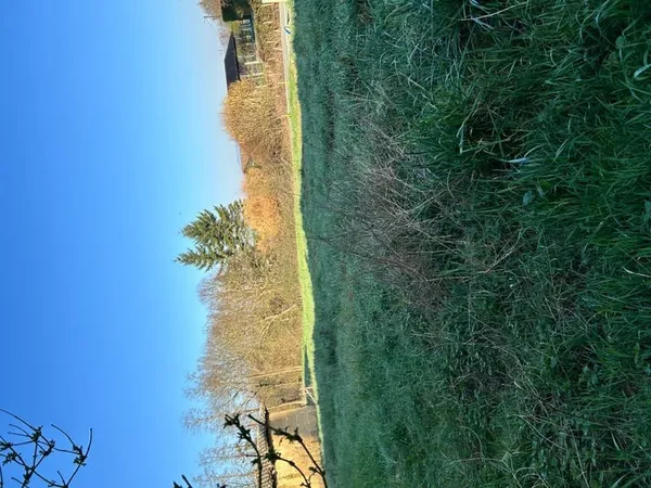 Beau terrain 900 m² Lurcy
