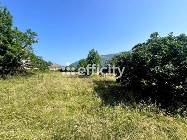 Terrain 2397 m²