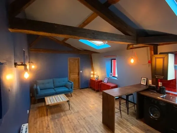 F2 meuble 41m2 place jean epinat vichy