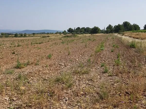 TERRAINS 18232 m²