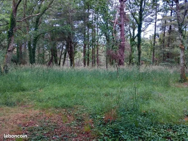 Bien agricole et foncier Vente Plouhinec  43500m² 75000€