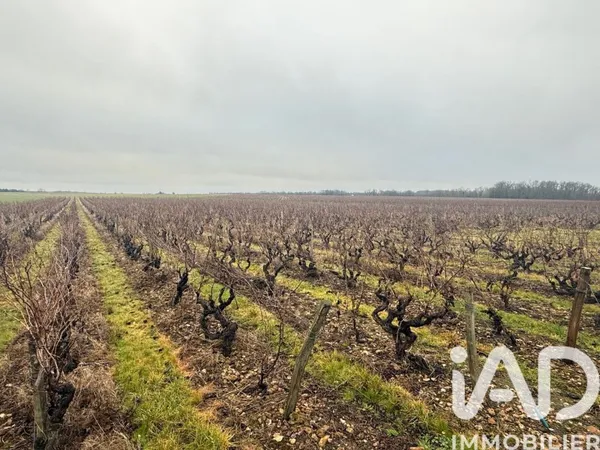 Vente Terrain 39 692 m²