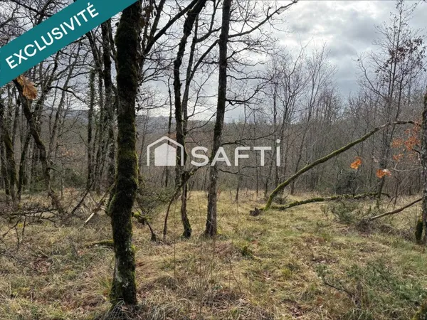 Terrain de 4 860 m²  Calme et nature