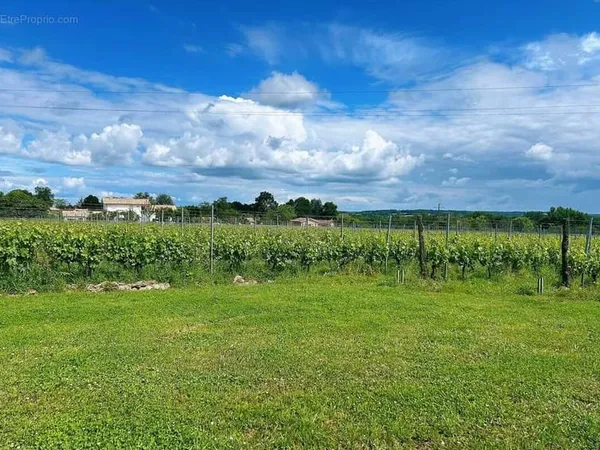 Propriété viticole bio 67 ha à vendre Bordeaux (33)