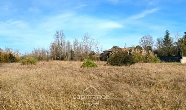 Terrain 6000m² ROQUES (31)