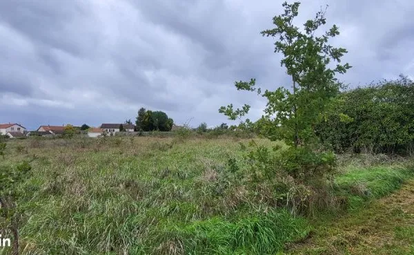 Terrain 13820m2 Chemin du Pontillon Châtellerault