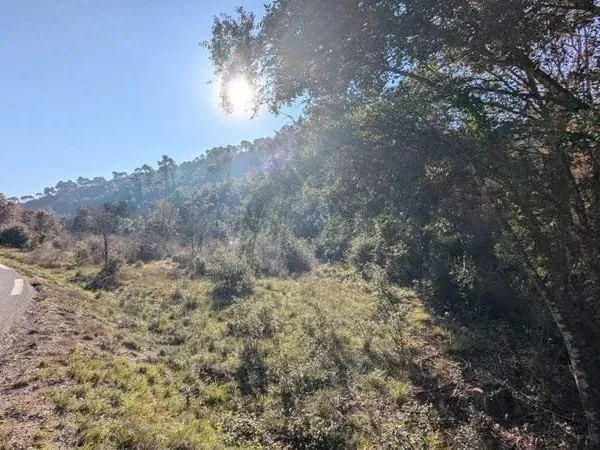 Terrain 3232 m²