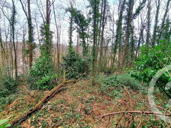 Terrain 3200 m²
