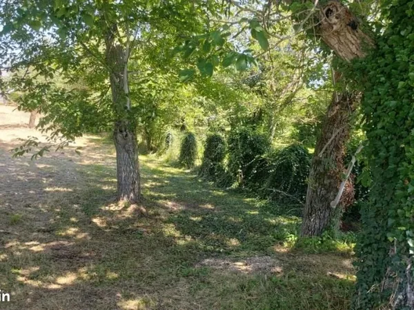 Terrain 599 m² DORMELLES