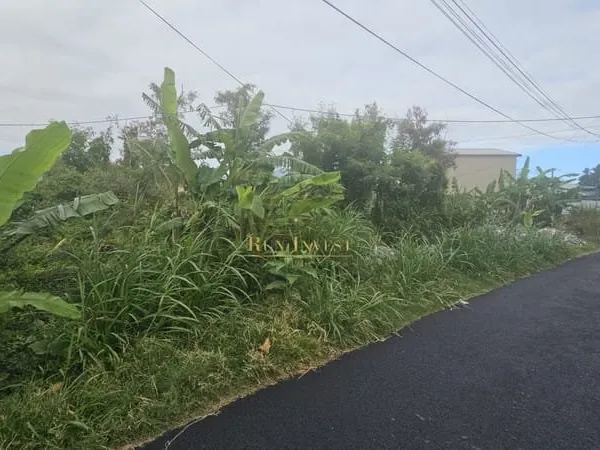 A vendre terrain de 988 M2 à Saint André secteur Ravine Creu