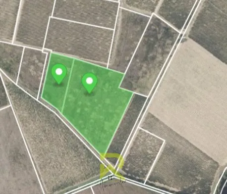 RAISSAC D 'AUDE lot terrain agricole d'une superficie total