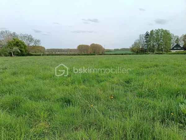 Terrain 804 m²