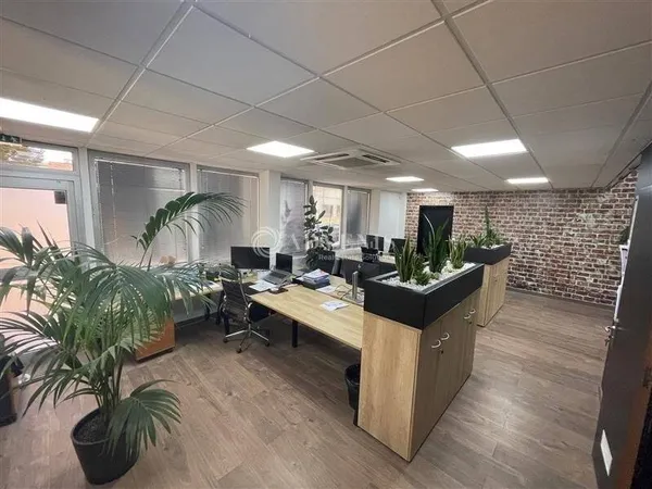 Bureau 303 m²