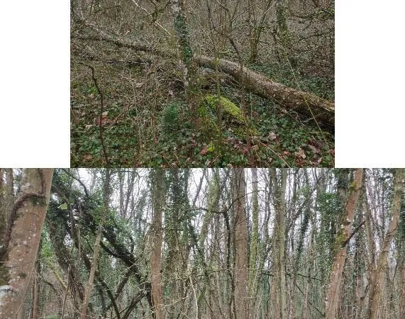 Lot de 8 terrains secteur Pont-à-Mousson