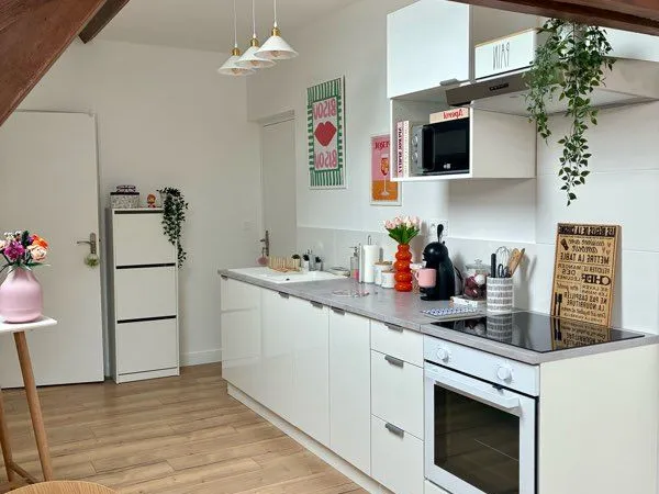 T2 sous combles - Hermonville (51220) - 40 m² loi Carrez / 58 m² au sol