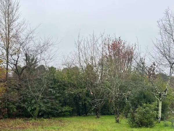 Terrain 450 m²