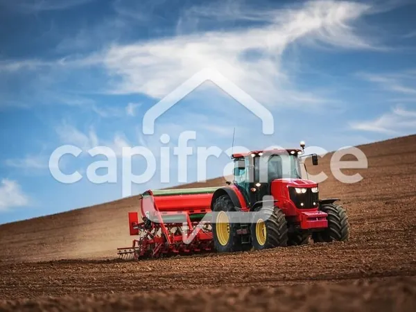 Terrain Agricole à vendre DZAOUDZI (976)