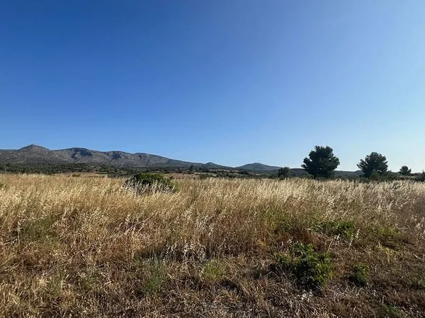 Terrain - 288
