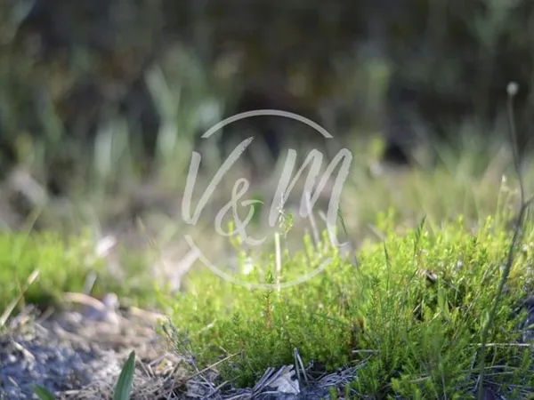 Terrain à bâtir
