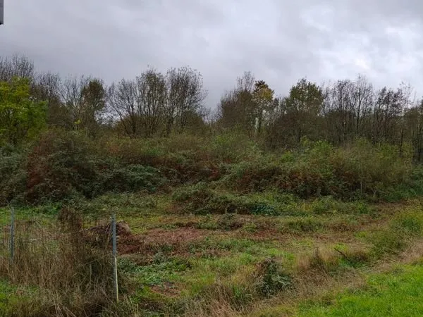 Terrain constructible