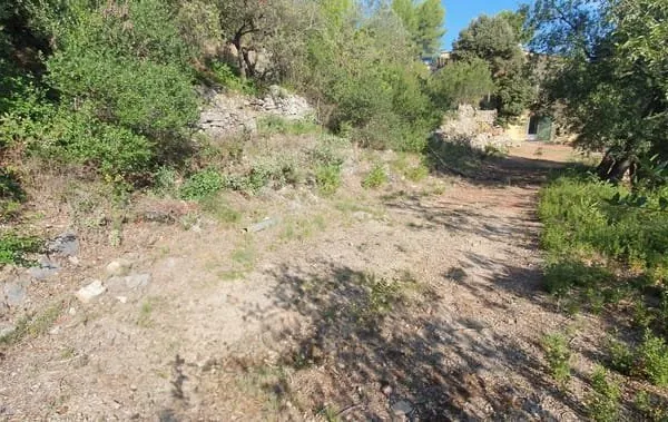 Terrain Le Luc