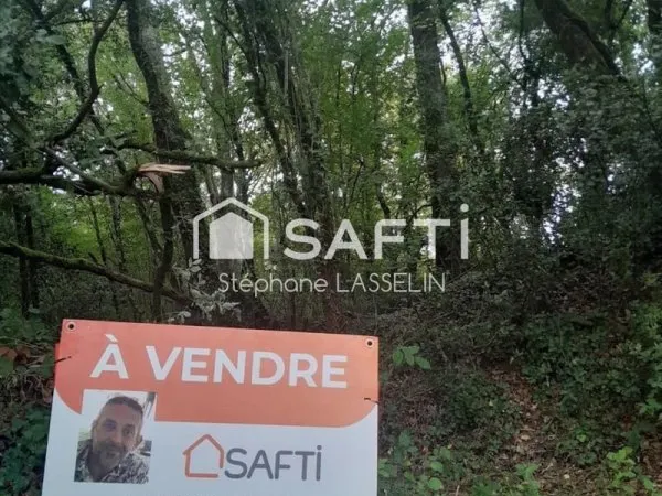 Magnifique terrain boisé constructible