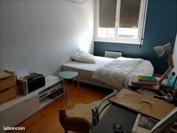 Chambre à louer