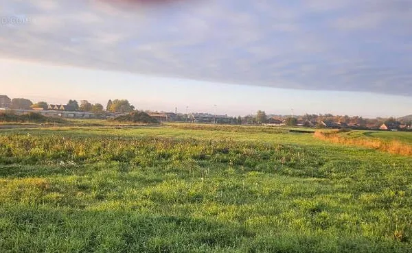 Terrain 487 m²