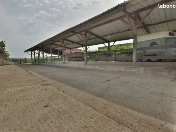 Terrain 150000 m² Ossages