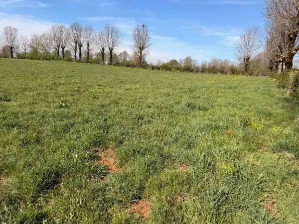 Terrain 815 m²