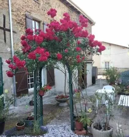 Maison de village 6 pièces 228 m²