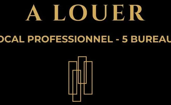 AU CENTRE VILLE - LOCAL PROFESSIONNEL A LOUER - 5 BUREAUX