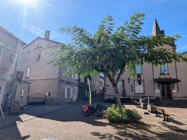 Maison Vente Monestiés 7p 257m² 347000€