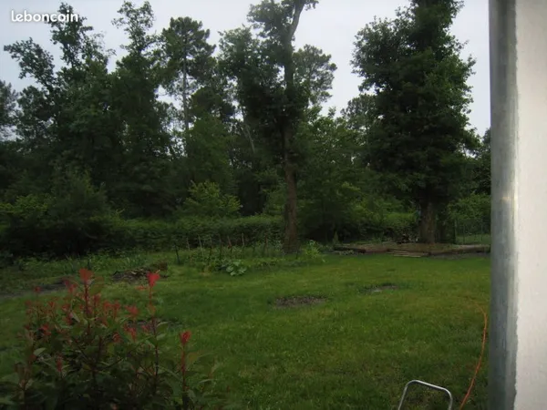 Terrain 6000 m² Narrosse
