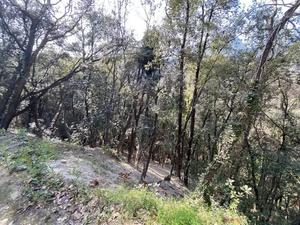 Terrain Vente Menton  2397m² 27500€
