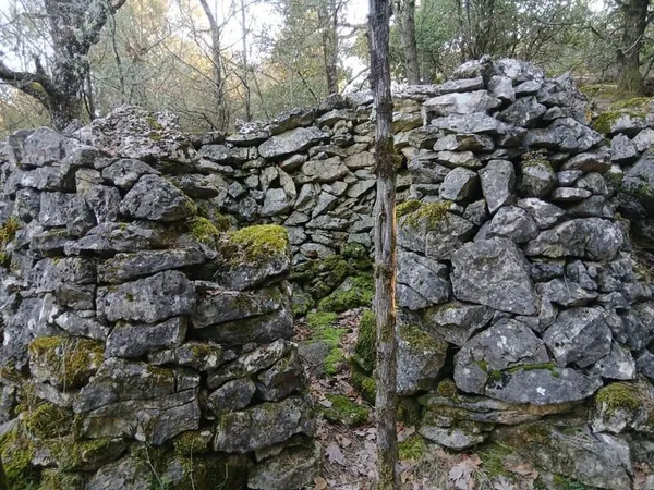 Terrain 1640 m²
