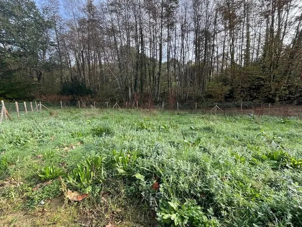 Terrain 575 m²