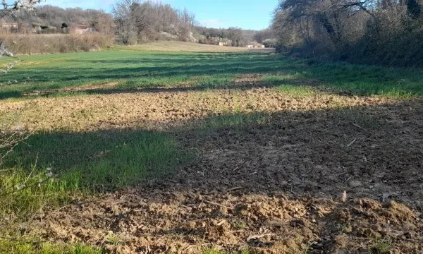 Terrain 2800 m²